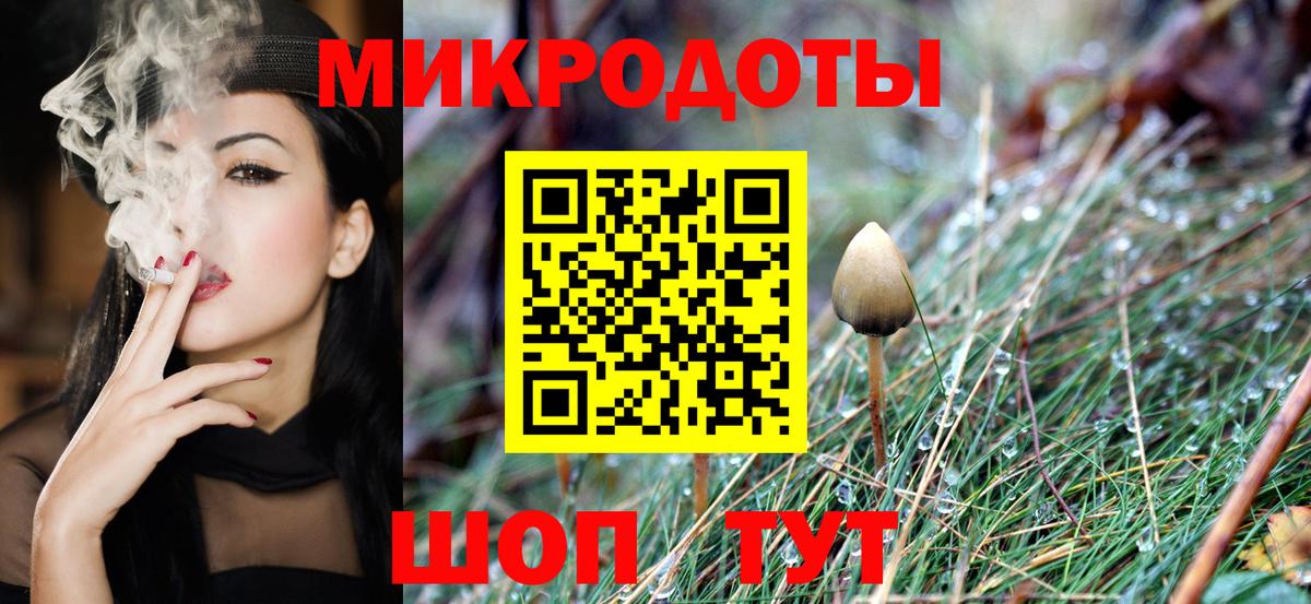 Псилоцибиновые грибы мицелий Мытищи