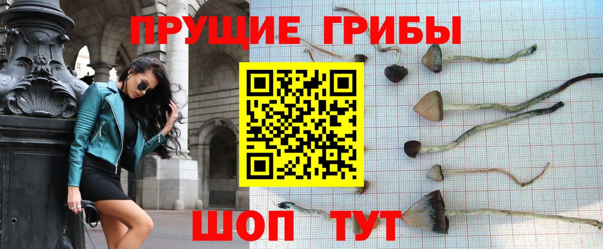 Галлюциногенные грибы мухоморы  Вход с VPN  Мытищи 